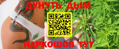 СК Краснодар